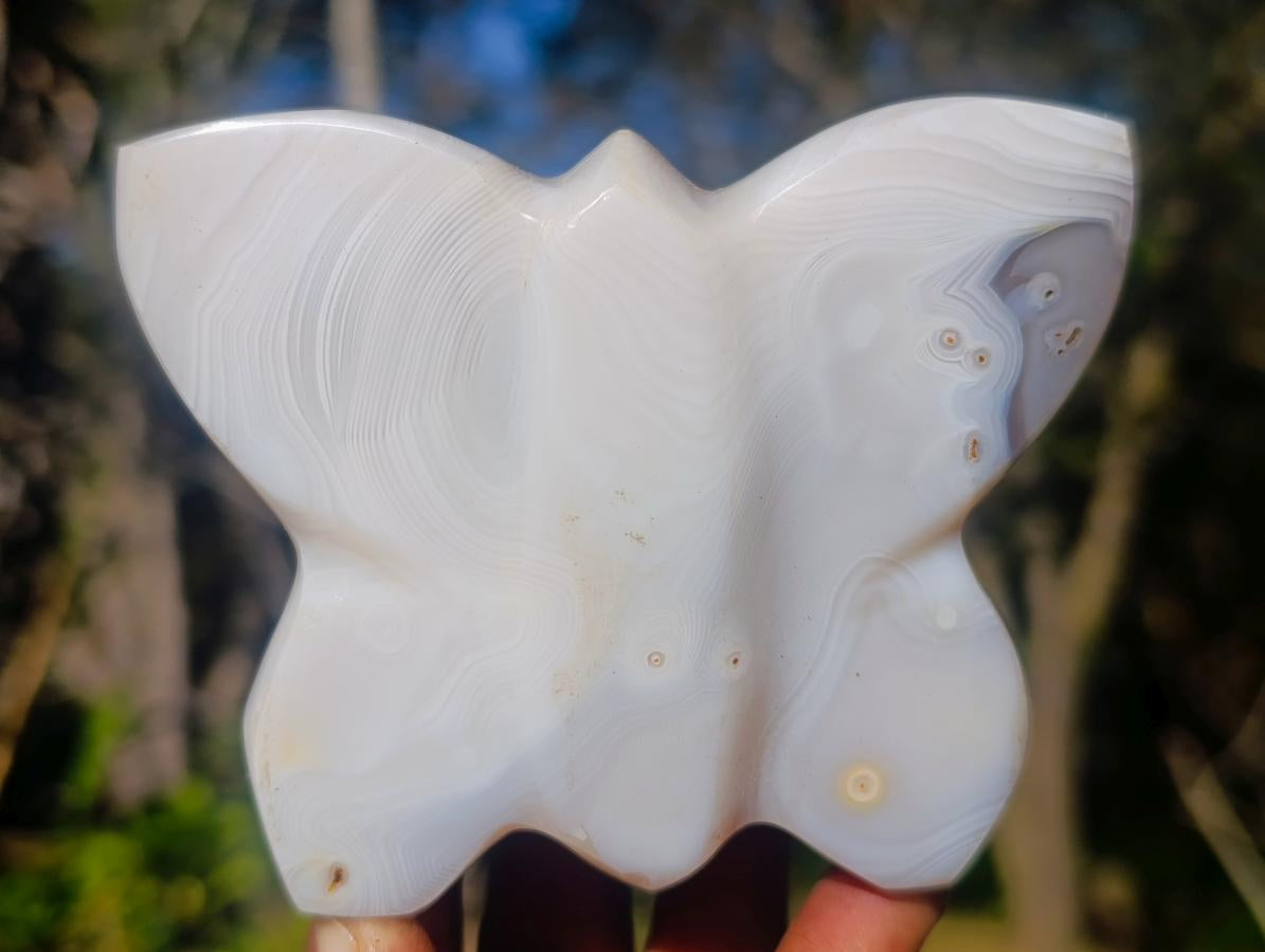 Polished Agate Butterfly Sculptures x 4 From Madagascar - Toprock Gemstones and Minerals 