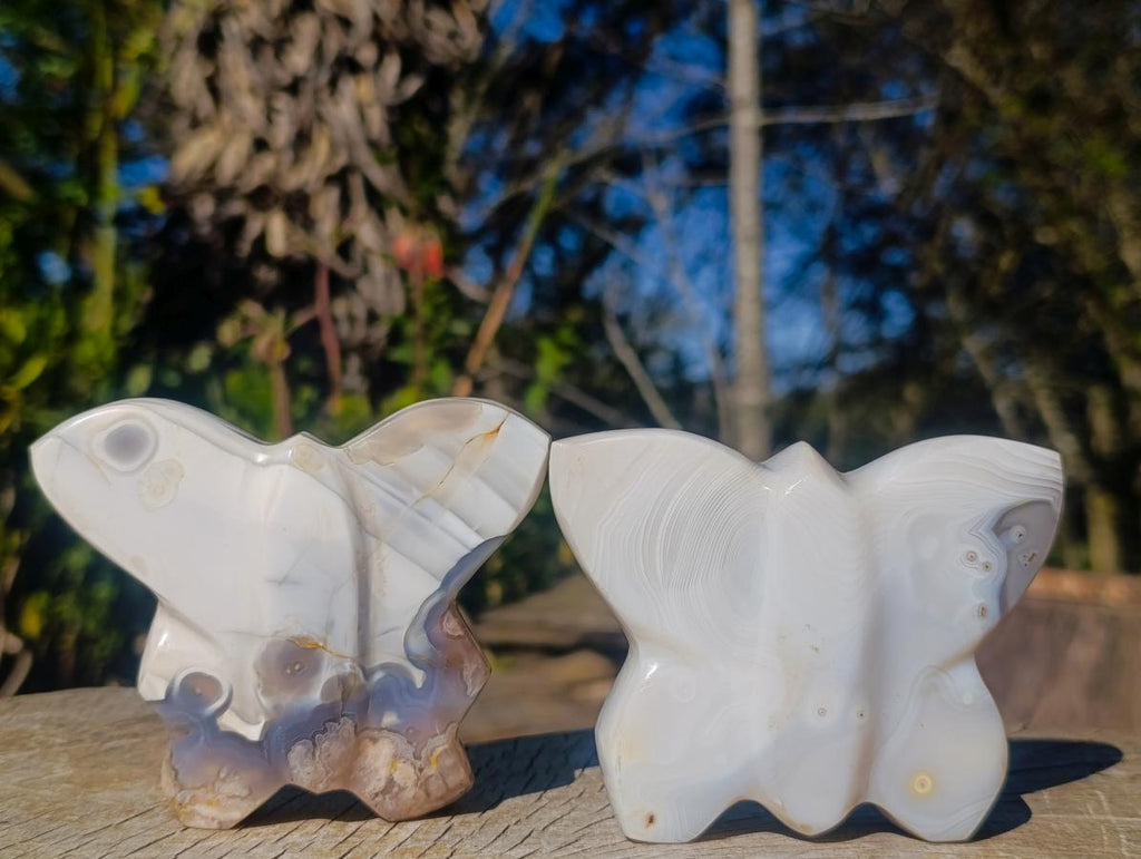Polished Agate Butterfly Sculptures x 4 From Madagascar - Toprock Gemstones and Minerals 