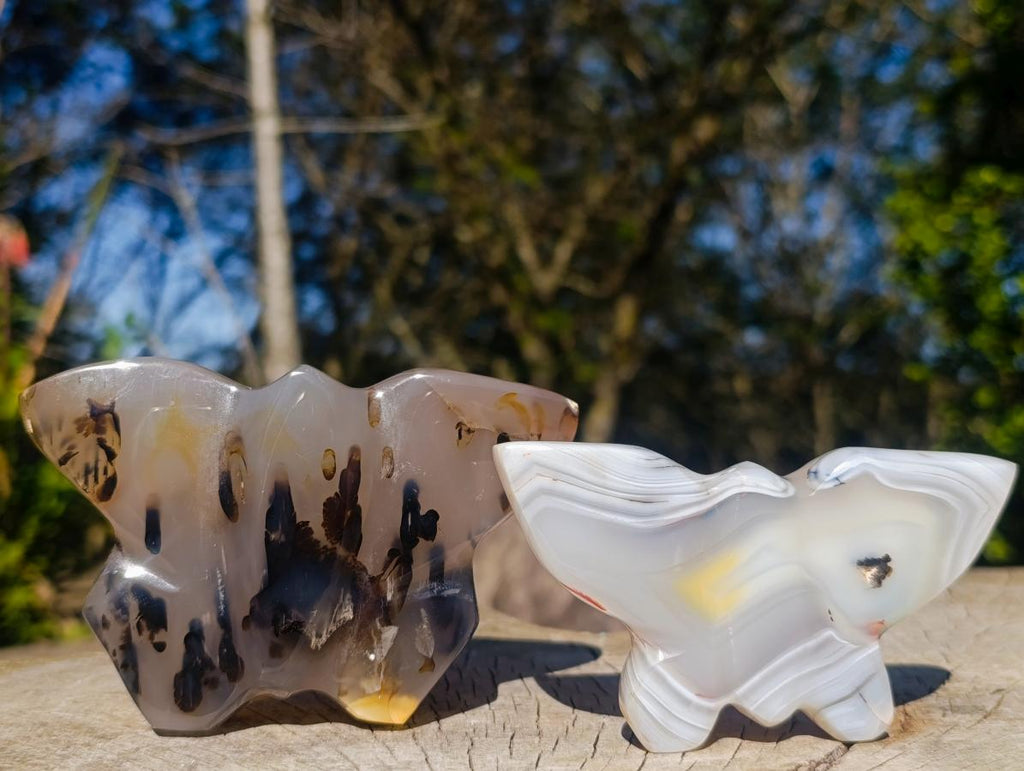 Polished Agate Butterfly Sculptures x 4 From Madagascar - Toprock Gemstones and Minerals 