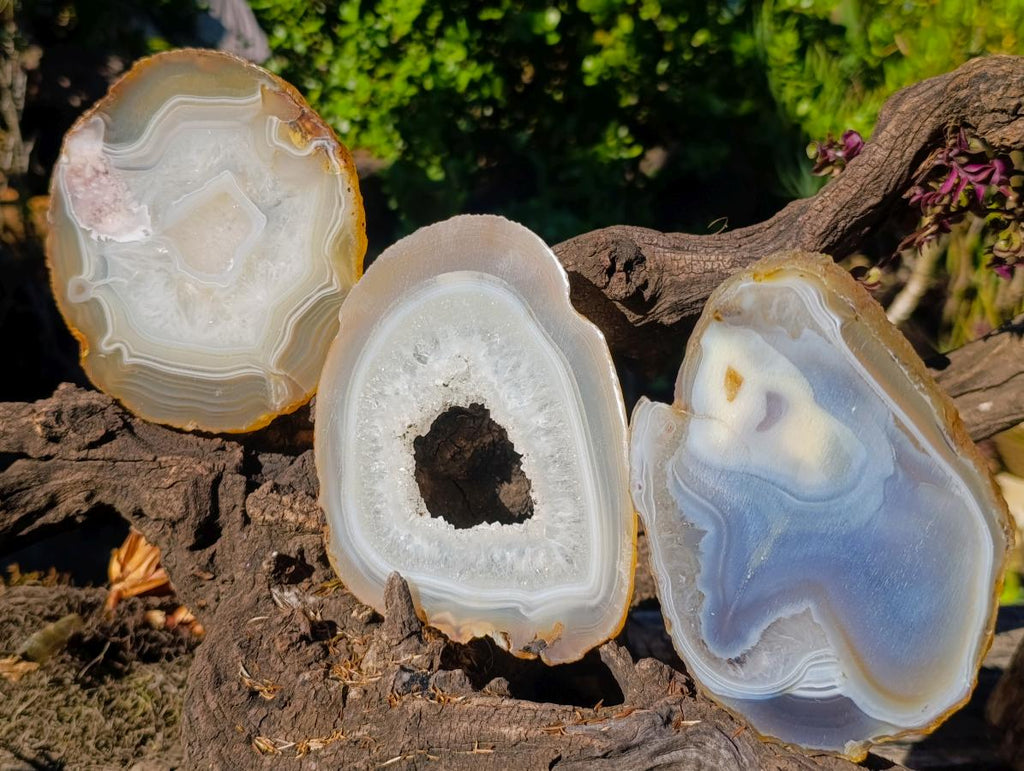 Polished Banded Agate Slices x 6 From Madagascar - Toprock Gemstones and Minerals 