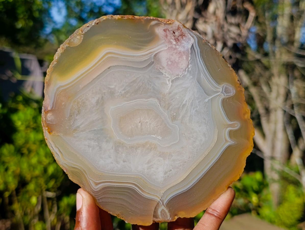 Polished Banded Agate Slices x 6 From Madagascar - Toprock Gemstones and Minerals 
