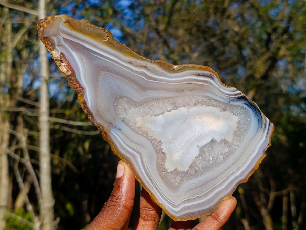 Polished Banded Agate Slices x 6 From Madagascar - Toprock Gemstones and Minerals 