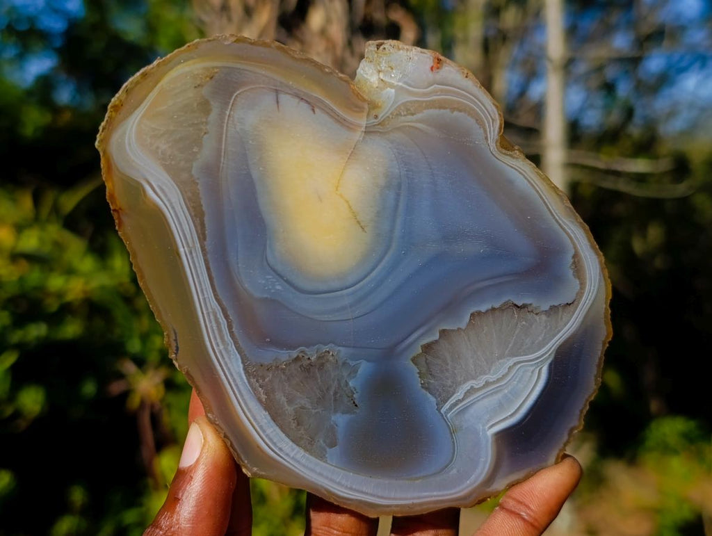 Polished Banded Agate Slices x 6 From Madagascar - Toprock Gemstones and Minerals 