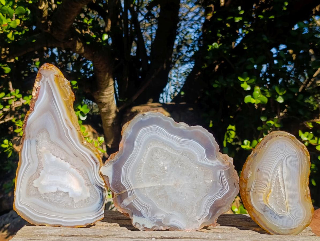 Polished Banded Agate Slices x 6 From Madagascar - Toprock Gemstones and Minerals 