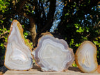 Polished Banded Agate Slices x 6 From Madagascar - Toprock Gemstones and Minerals 