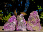 Natural Cobbed Stichtite Specimens x 24 From Barberton, South Africa - Toprock Gemstones and Minerals 