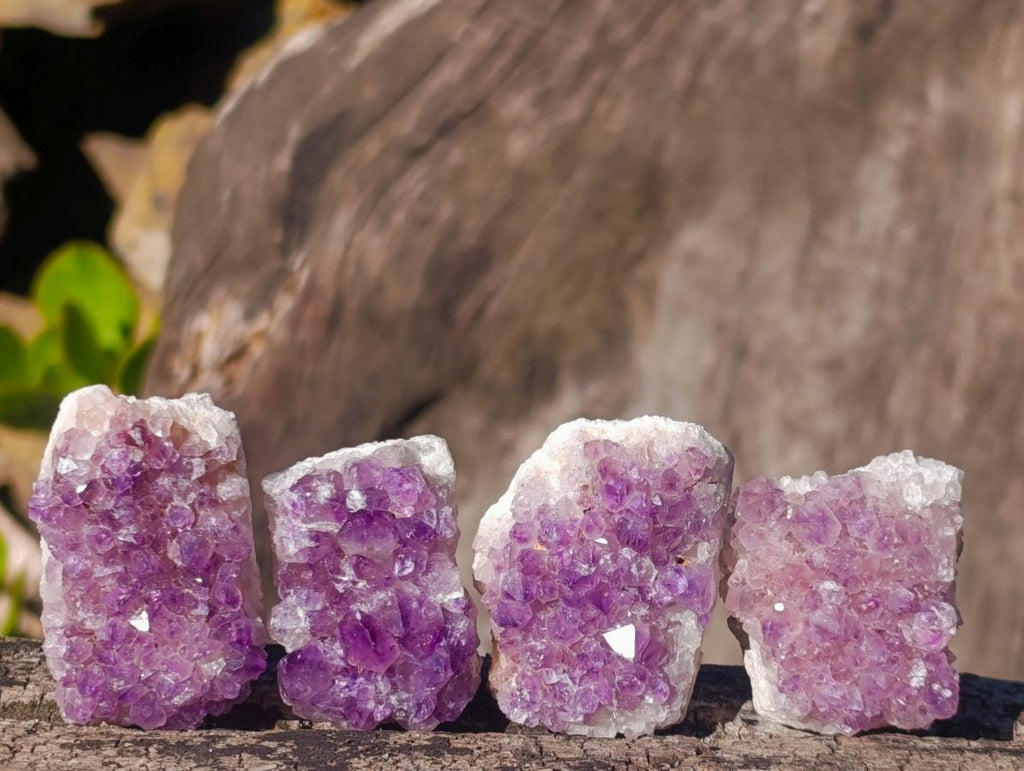 Natural Mini Lilac Amethyst Clusters x 35 From Madagascar - Toprock Gemstones and Minerals 