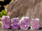 Natural Mini Lilac Amethyst Clusters x 35 From Madagascar - Toprock Gemstones and Minerals 