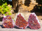 Natural Mini Lilac Amethyst Clusters x 35 From Madagascar - Toprock Gemstones and Minerals 