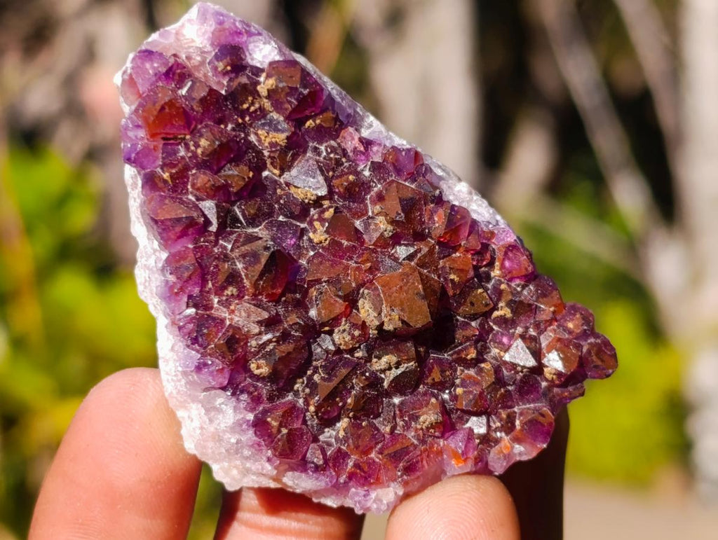 Natural Mini Lilac Amethyst Clusters x 35 From Madagascar - Toprock Gemstones and Minerals 