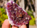 Natural Mini Lilac Amethyst Clusters x 35 From Madagascar - Toprock Gemstones and Minerals 