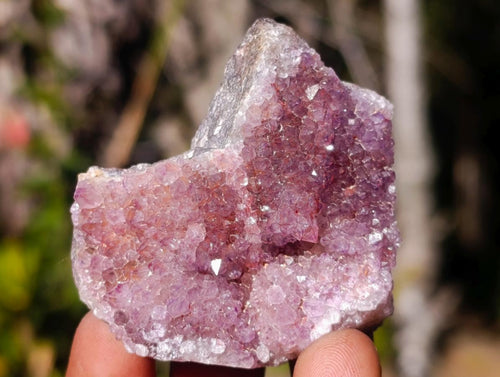 Natural Mini Lilac Amethyst Clusters x 35 From Madagascar - Toprock Gemstones and Minerals 