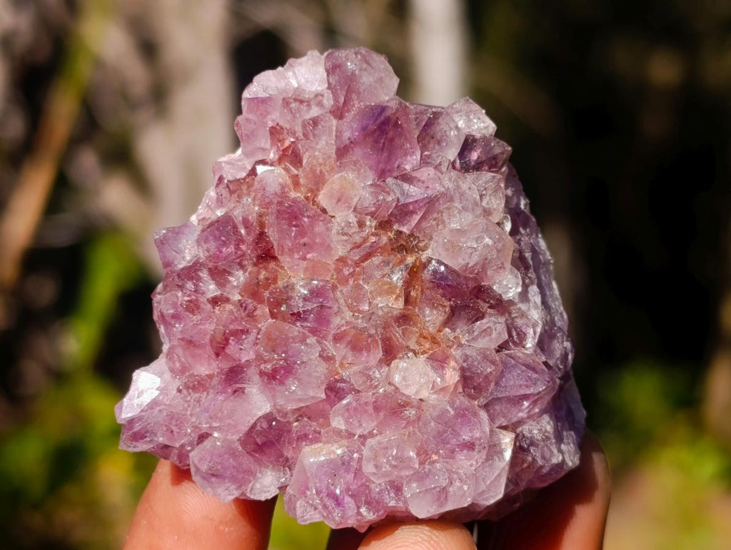 Natural Mini Lilac Amethyst Clusters x 35 From Madagascar - Toprock Gemstones and Minerals 