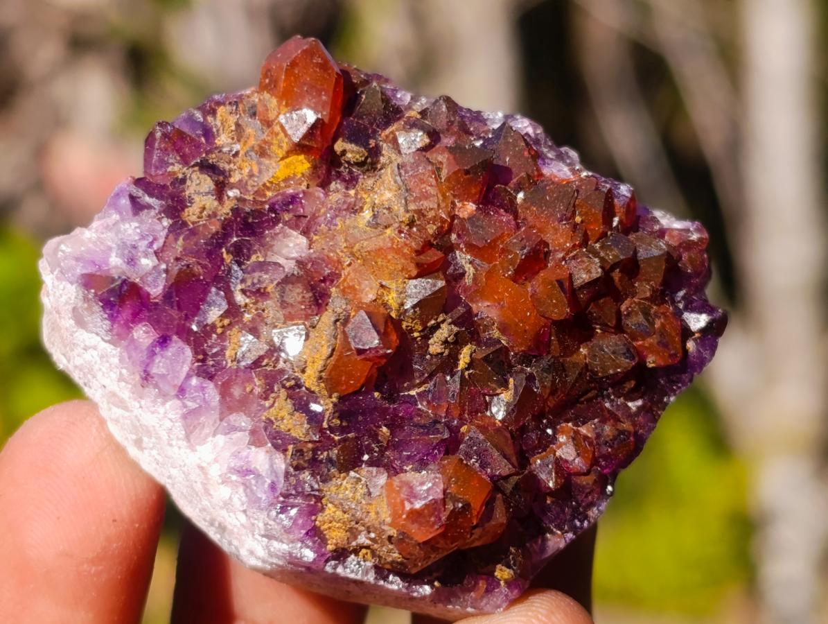 Natural Mini Lilac Amethyst Clusters x 35 From Madagascar - Toprock Gemstones and Minerals 