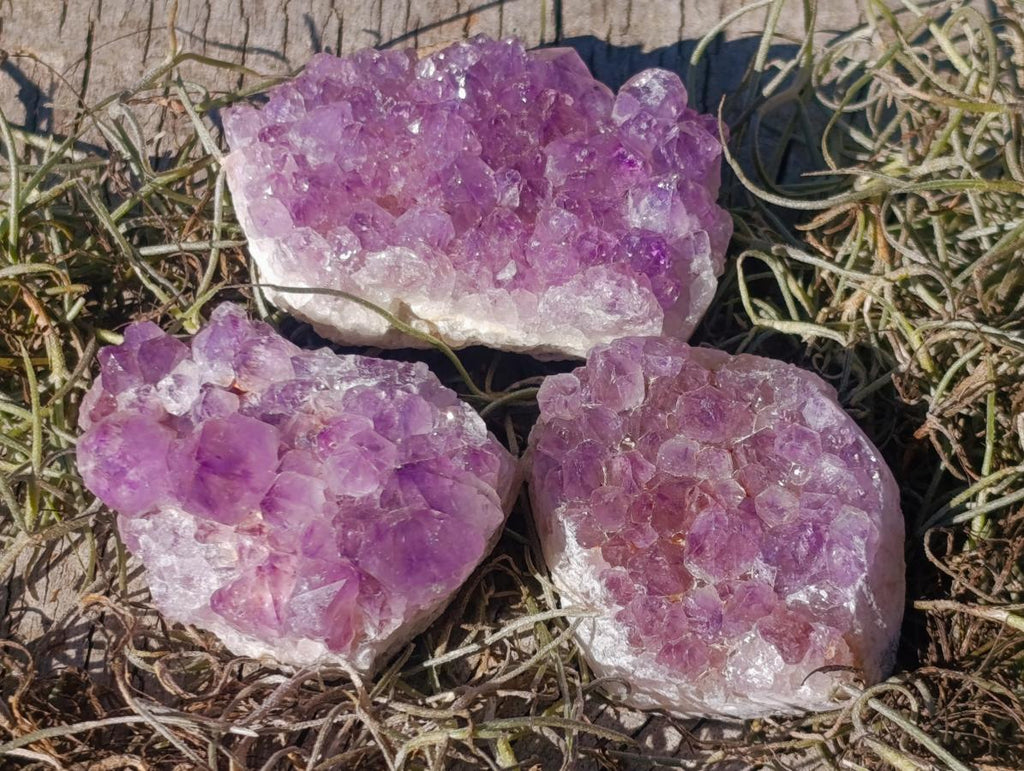 Natural Mini Lilac Amethyst Clusters x 35 From Madagascar - Toprock Gemstones and Minerals 