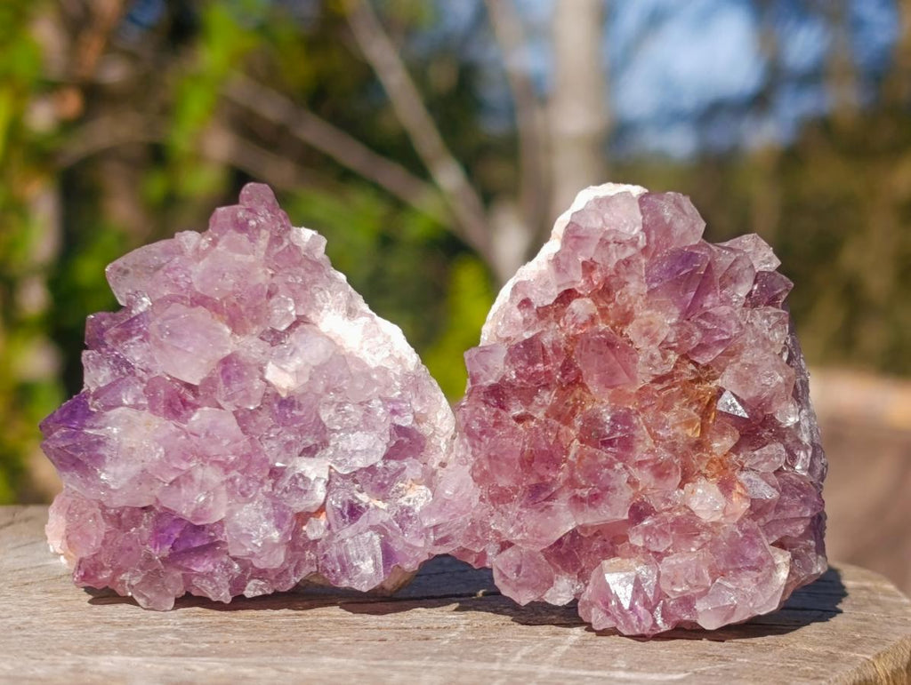 Natural Mini Lilac Amethyst Clusters x 35 From Madagascar - Toprock Gemstones and Minerals 