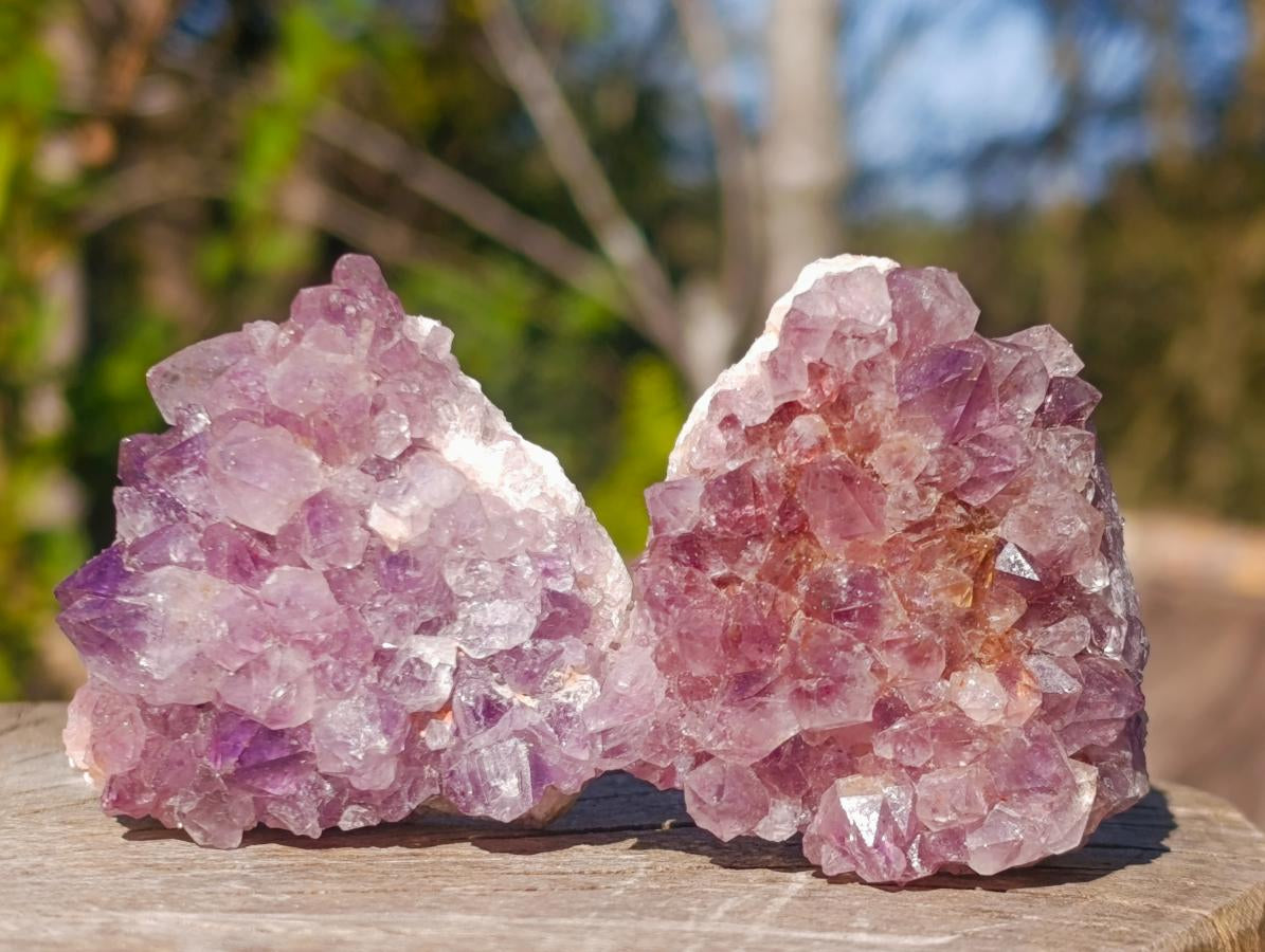 Natural Mini Lilac Amethyst Clusters x 35 From Madagascar - Toprock Gemstones and Minerals 