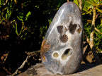 Polished Large Ocean Jasper Standing Display Piece x 1 From Northwest Coast, Madagascar - Toprock Gemstones and Minerals 