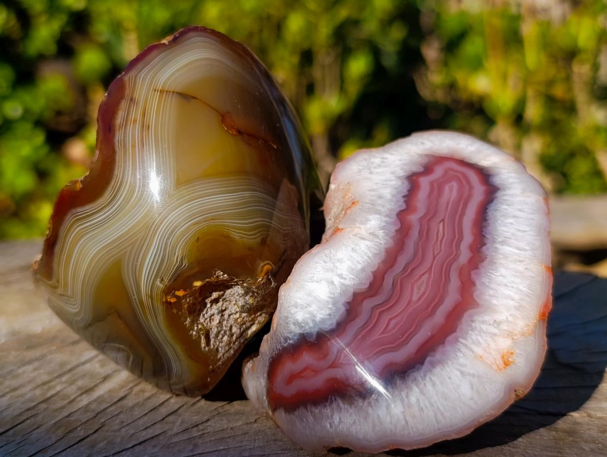 Polished One Side Red Shashe River Agate Nodules x 6 From Shashe River, Zimbabwe - Toprock Gemstones and Minerals 