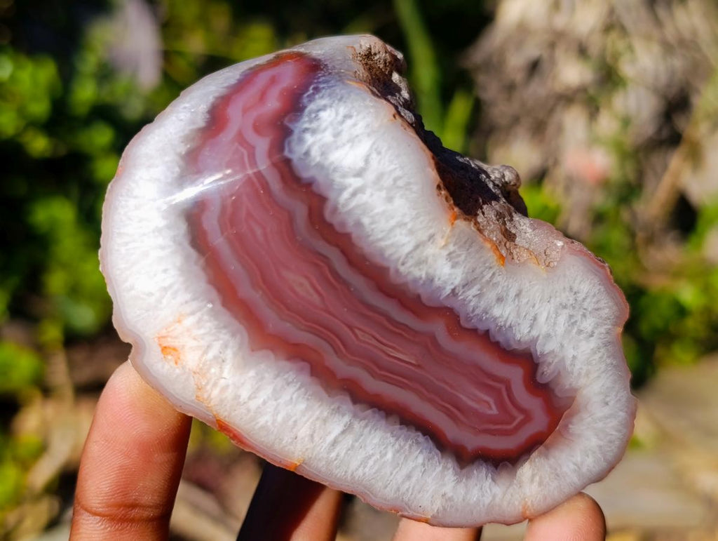 Polished One Side Red Shashe River Agate Nodules x 6 From Shashe River, Zimbabwe - Toprock Gemstones and Minerals 