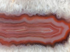 Polished One Side Red Shashe River Agate Nodules x 6 From Shashe River, Zimbabwe - Toprock Gemstones and Minerals 