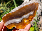 Polished One Side Red Shashe River Agate Nodules x 6 From Shashe River, Zimbabwe - Toprock Gemstones and Minerals 