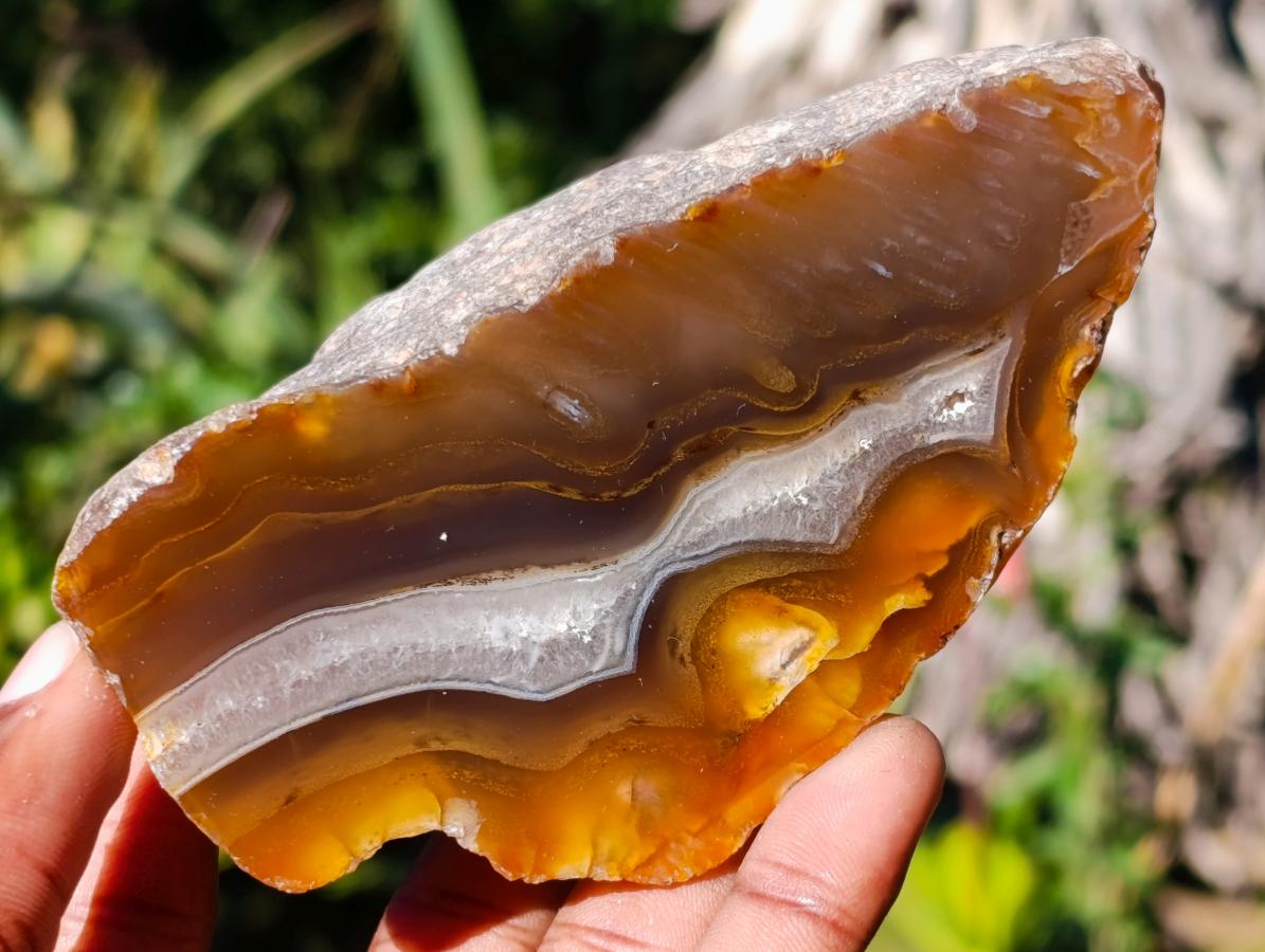Polished One Side Red Shashe River Agate Nodules x 6 From Shashe River, Zimbabwe - Toprock Gemstones and Minerals 