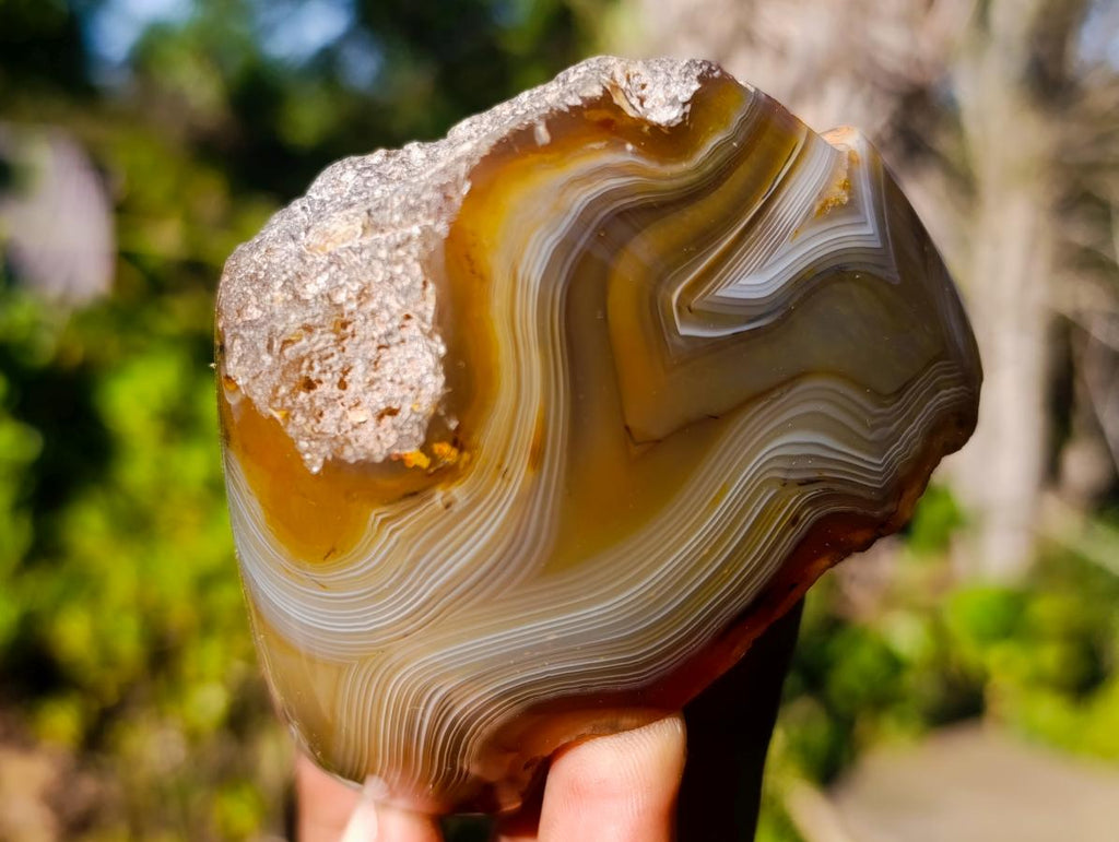 Polished One Side Red Shashe River Agate Nodules x 6 From Shashe River, Zimbabwe - Toprock Gemstones and Minerals 