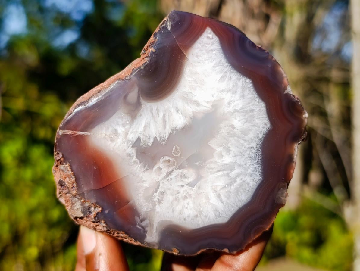 Polished One Side Red Shashe River Agate Nodules x 6 From Shashe River, Zimbabwe - Toprock Gemstones and Minerals 