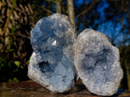 Natural Blue Celestite Geode Specimens x 3 From Sakoany, Madagascar - Toprock Gemstones and Minerals 