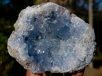 Natural Blue Celestite Geode Specimens x 3 From Sakoany, Madagascar - Toprock Gemstones and Minerals 