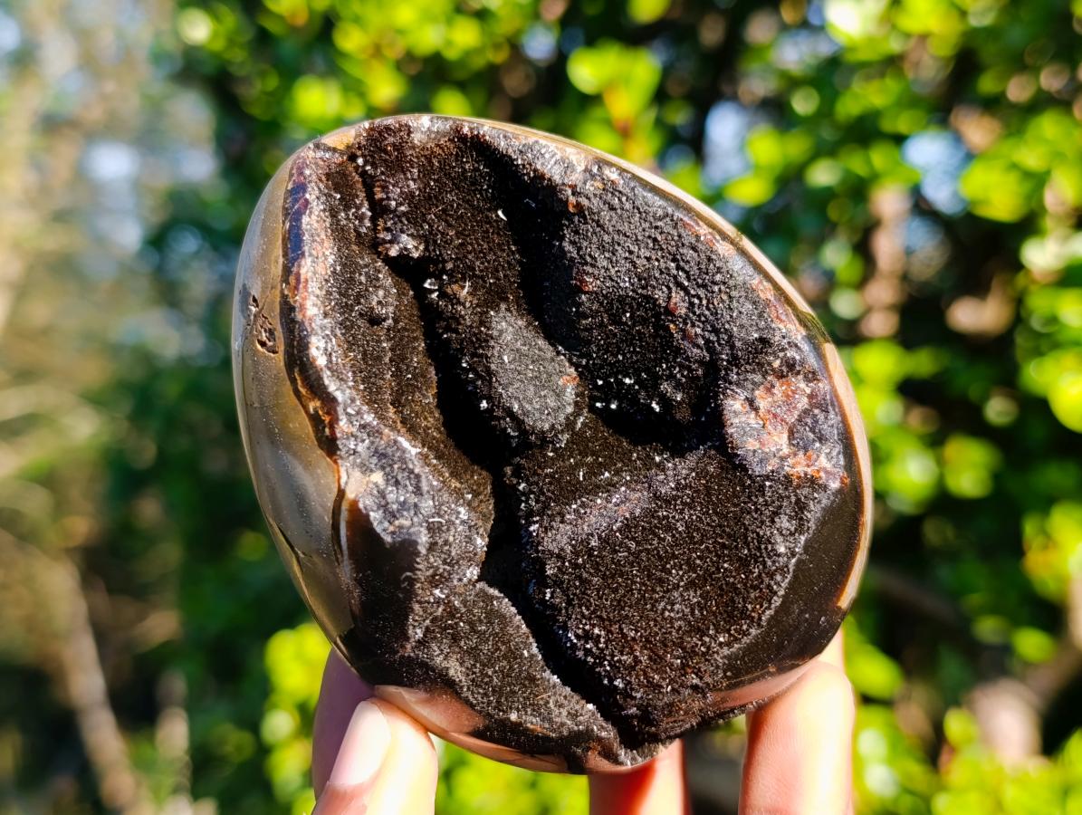 Polished Septerye Sauvage "Dragons Eggs" x 5 From Mahajanga, Madagascar - Toprock Gemstones and Minerals 