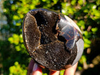 Polished Septerye Sauvage "Dragons Eggs" x 5 From Mahajanga, Madagascar - Toprock Gemstones and Minerals 