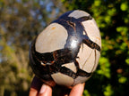 Polished Septerye Sauvage "Dragons Eggs" x 5 From Mahajanga, Madagascar - Toprock Gemstones and Minerals 