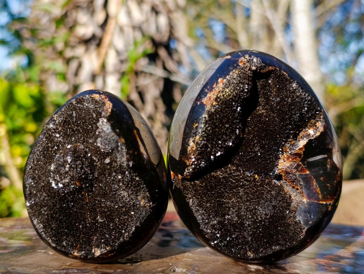 Polished Septerye Sauvage "Dragons Eggs" x 5 From Mahajanga, Madagascar - Toprock Gemstones and Minerals 