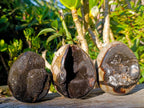 Polished Septerye Sauvage "Dragons Eggs" x 5 From Mahajanga, Madagascar - Toprock Gemstones and Minerals 
