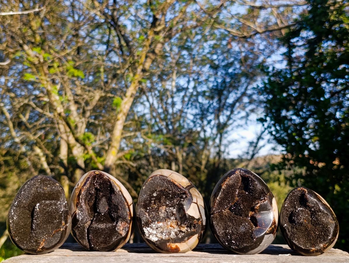 Polished Septerye Sauvage "Dragons Eggs" x 5 From Mahajanga, Madagascar - Toprock Gemstones and Minerals 