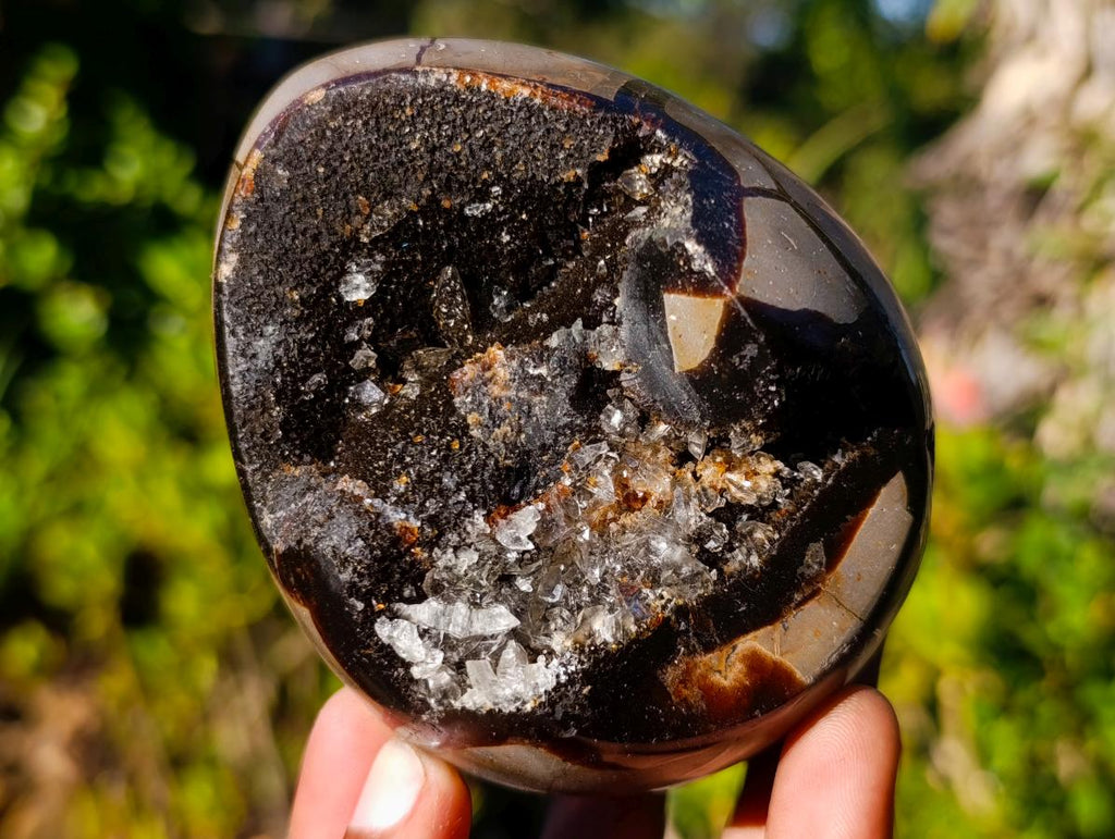 Polished Septerye Sauvage "Dragons Eggs" x 5 From Mahajanga, Madagascar - Toprock Gemstones and Minerals 