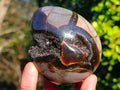 Polished Septerye Sauvage "Dragons Eggs" x 5 From Mahajanga, Madagascar - Toprock Gemstones and Minerals 