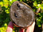 Polished Septerye Sauvage "Dragons Eggs" x 5 From Mahajanga, Madagascar - Toprock Gemstones and Minerals 
