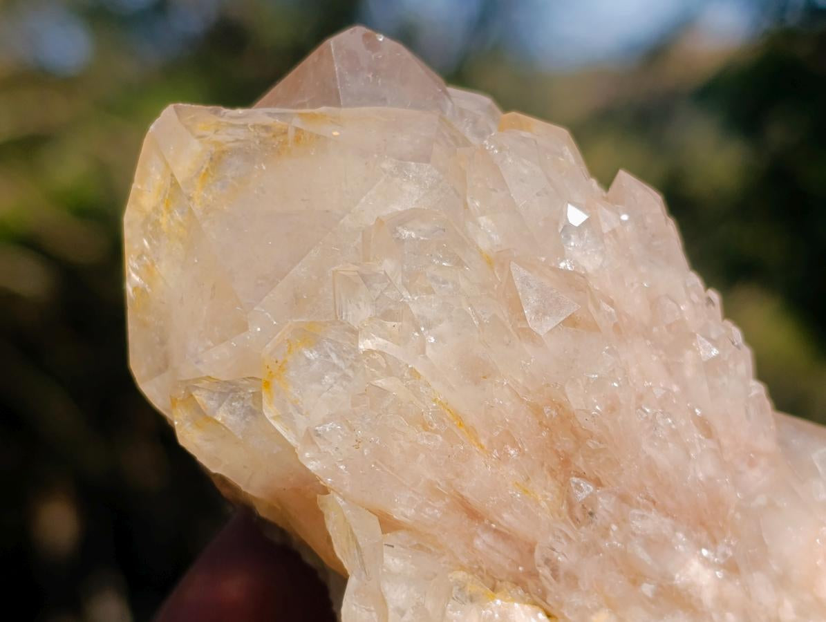 Natural Cascading White Phantom Smokey Luena Quartz Clusters x 6 From Luena, Congo - Toprock Gemstones and Minerals 