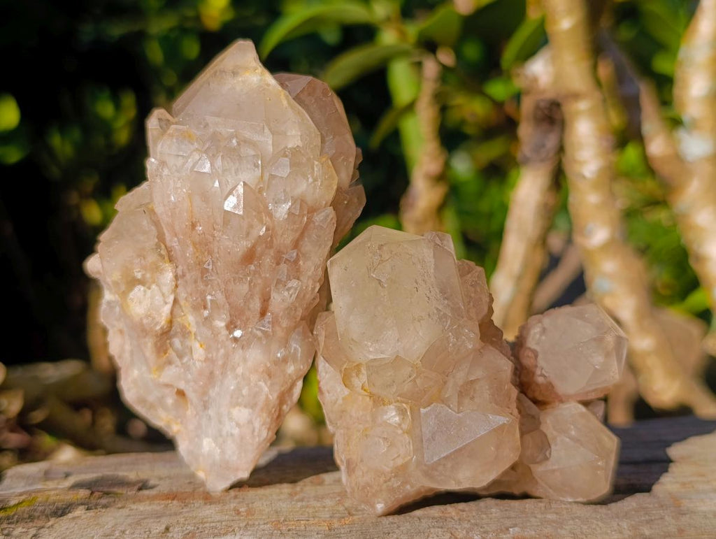Natural Cascading White Phantom Smokey Luena Quartz Clusters x 6 From Luena, Congo - Toprock Gemstones and Minerals 