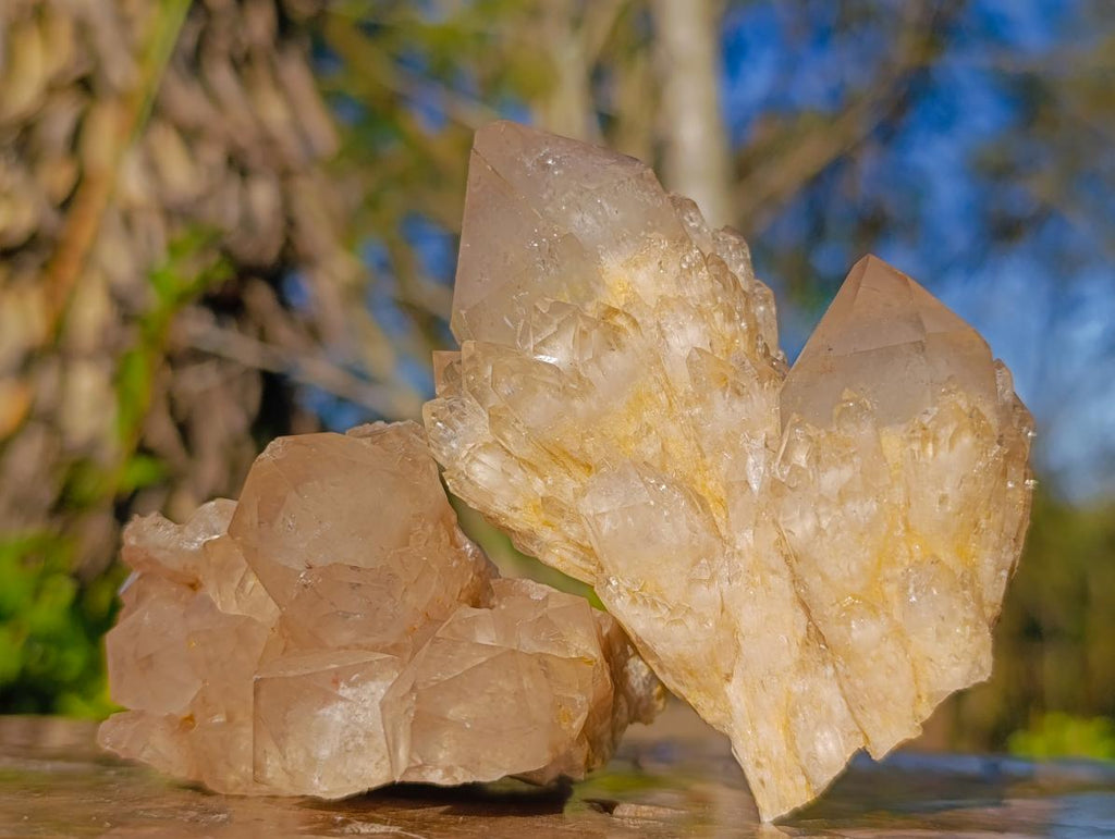 Natural Cascading White Phantom Smokey Luena Quartz Clusters x 6 From Luena, Congo - Toprock Gemstones and Minerals 
