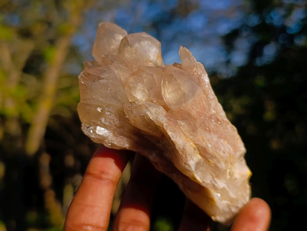 Natural Cascading White Phantom Smokey Luena Quartz Clusters x 6 From Luena, Congo - Toprock Gemstones and Minerals 