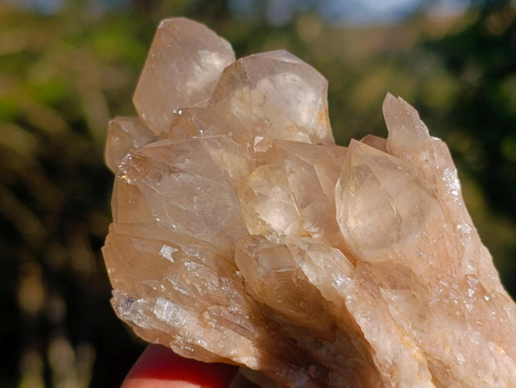 Natural Cascading White Phantom Smokey Luena Quartz Clusters x 6 From Luena, Congo - Toprock Gemstones and Minerals 