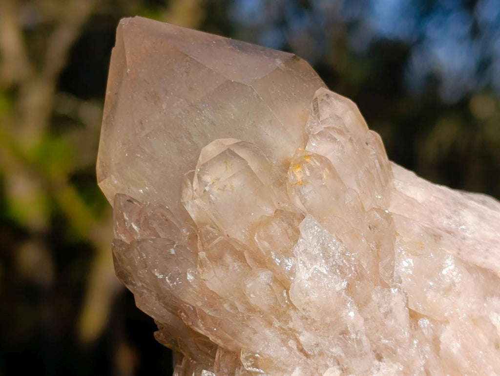 Natural Cascading White Phantom Smokey Luena Quartz Clusters x 6 From Luena, Congo - Toprock Gemstones and Minerals 