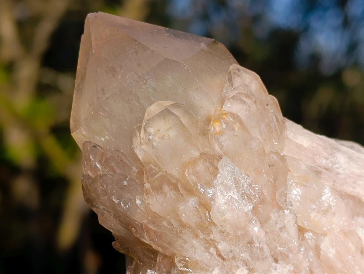 Natural Cascading White Phantom Smokey Luena Quartz Clusters x 6 From Luena, Congo - Toprock Gemstones and Minerals 