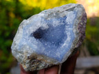 Natural Blue Lace Agate Geodes x 12 From Nsanje, Malawi - Toprock Gemstones and Minerals 