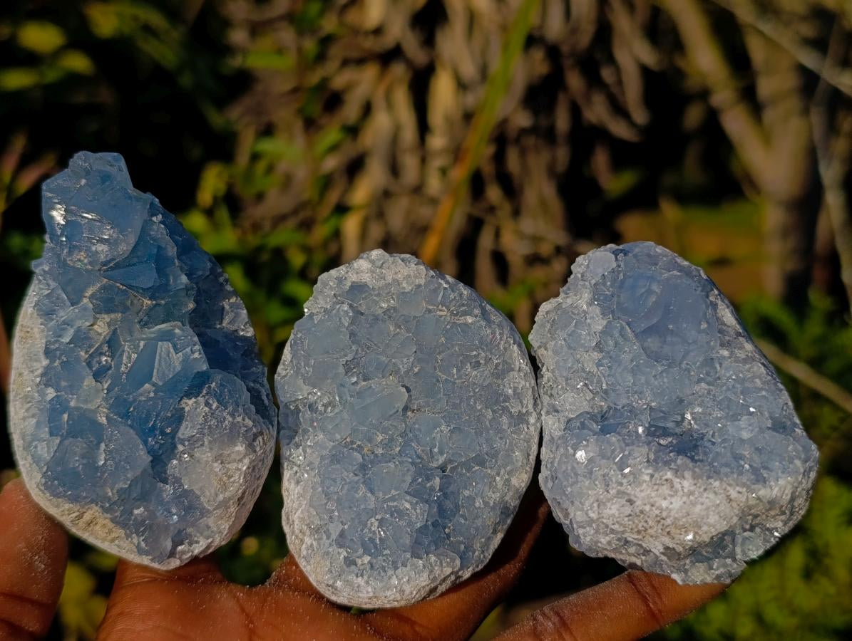 Natural Blue Celestite Specimens x 21 From Sakoany, Madagascar - Toprock Gemstones and Minerals 