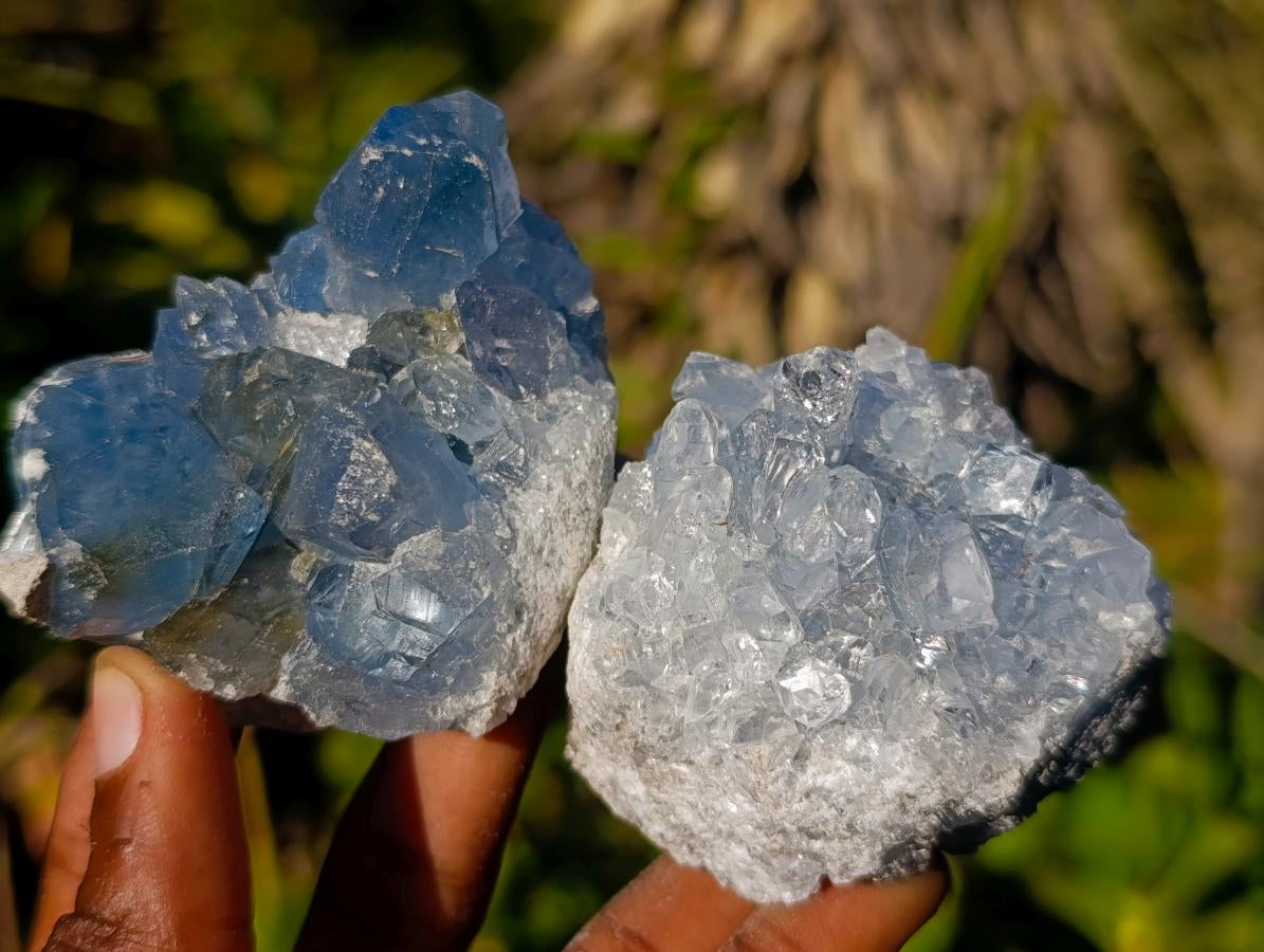 Natural Blue Celestite Specimens x 21 From Sakoany, Madagascar - Toprock Gemstones and Minerals 